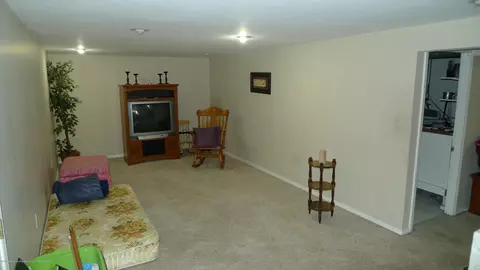 799 Foxview Ln, Mason, MI 48854 photo 24