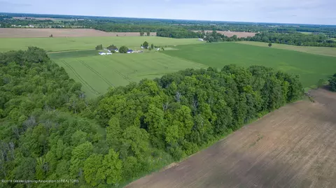 9855 Norris Rd, Dewitt, MI 48820 photo 11