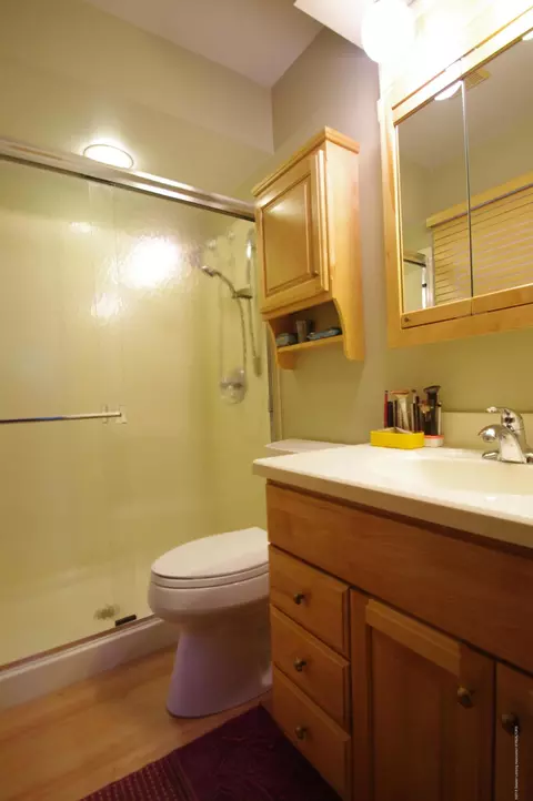 3931 Binghampton Dr, Okemos, MI 48864 photo 34