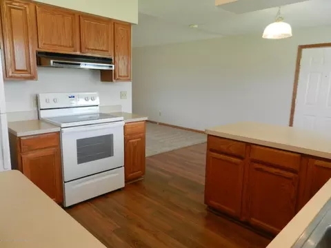 10355 Pheasant Run, Eaton Rapids, MI 48827 photo 9