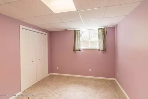 2330 Pine Tree Rd, Holt, MI 48842 photo 29