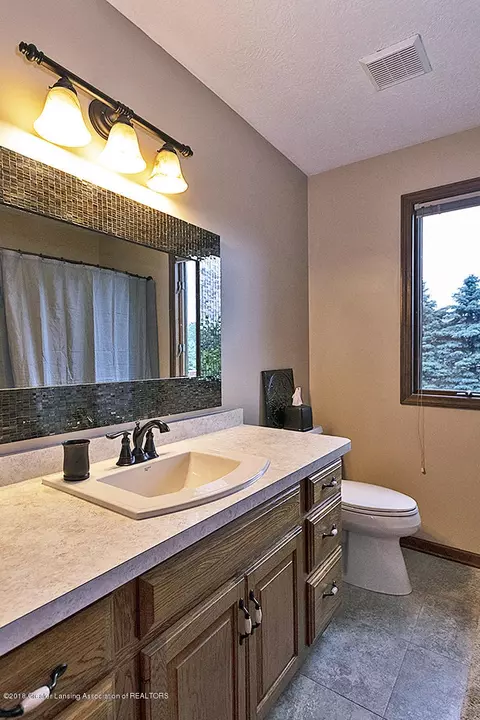 753 Tanbark Dr, Dimondale, MI 48821 photo 20
