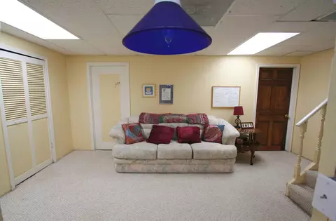 400 Elm St, Mason, MI 48854 photo 54
