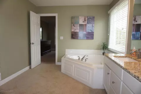 11670 Hidden Spring Trl, Dewitt, MI 48820 photo 19