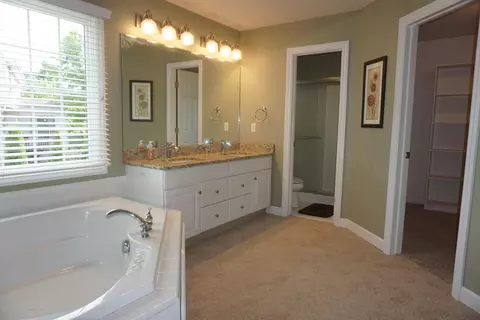 11670 Hidden Spring Trl, Dewitt, MI 48820 photo 20