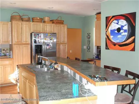 115 E Pine St, Elsie, MI 48831 photo 6