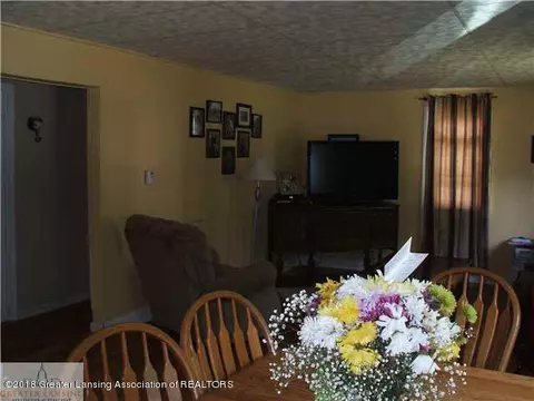 115 E Pine St, Elsie, MI 48831 photo 11