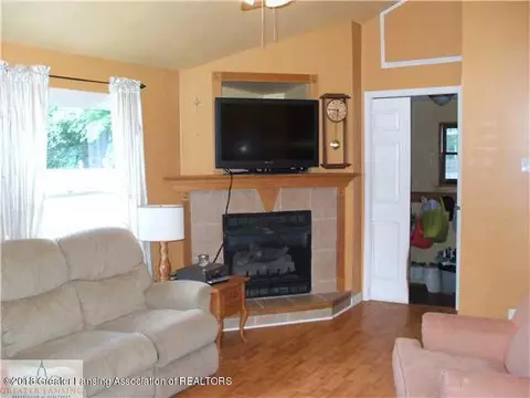 115 E Pine St, Elsie, MI 48831 photo 10