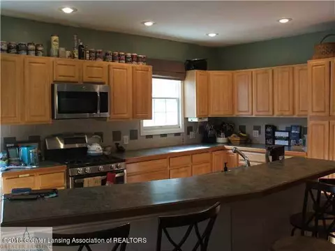 115 E Pine St, Elsie, MI 48831 photo 7