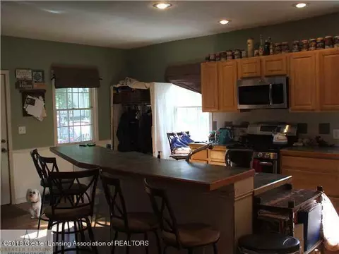 115 E Pine St, Elsie, MI 48831 photo 8