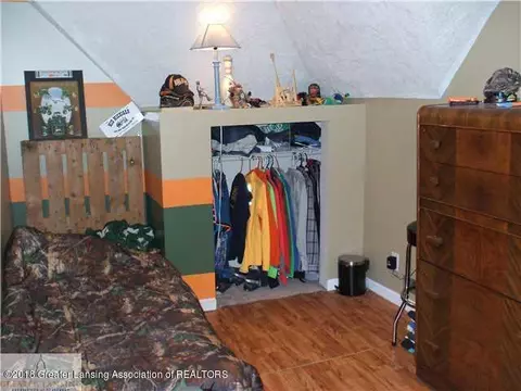 115 E Pine St, Elsie, MI 48831 photo 20