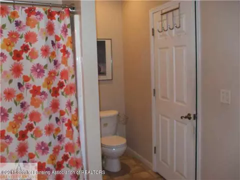 115 E Pine St, Elsie, MI 48831 photo 13
