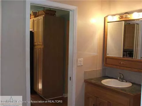 115 E Pine St, Elsie, MI 48831 photo 14