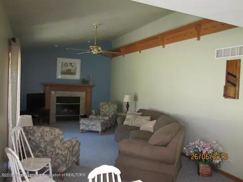 321 Tanbark Dr, Dimondale, MI 48821 photo 14