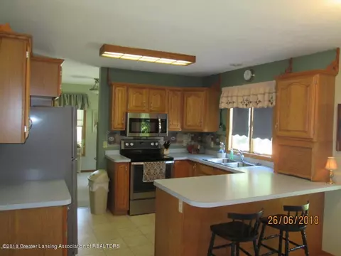 321 Tanbark Dr, Dimondale, MI 48821 photo 13