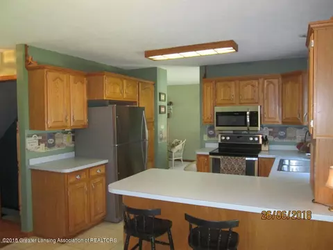 321 Tanbark Dr, Dimondale, MI 48821 photo 12