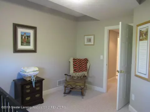 12731 Ospreys Way, Dewitt, MI 48820 photo 48