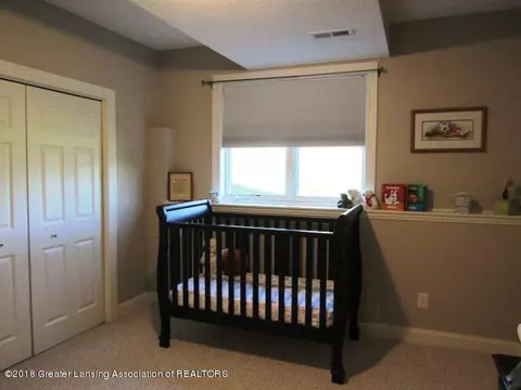 12731 Ospreys Way, Dewitt, MI 48820 photo 47