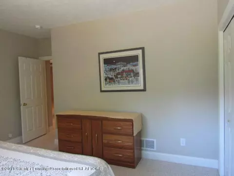 12731 Ospreys Way, Dewitt, MI 48820 photo 50