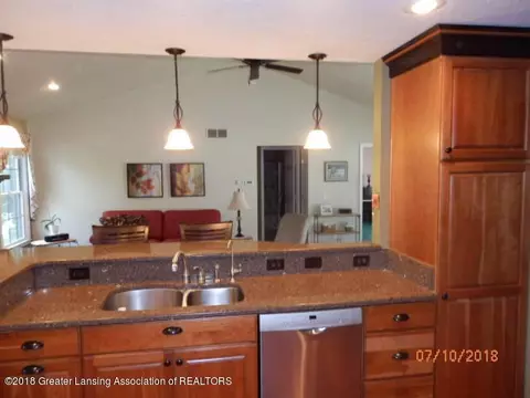 13079 Addington Dr, Dewitt, MI 48820 photo 9