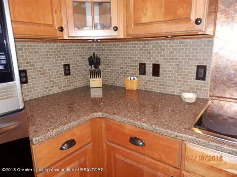 13079 Addington Dr, Dewitt, MI 48820 photo 10