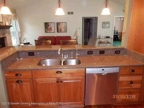 13079 Addington Dr, Dewitt, MI 48820 photo 8