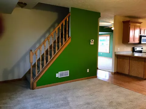 4955 Goodwin Rd, Lyons, MI 48851 photo 13