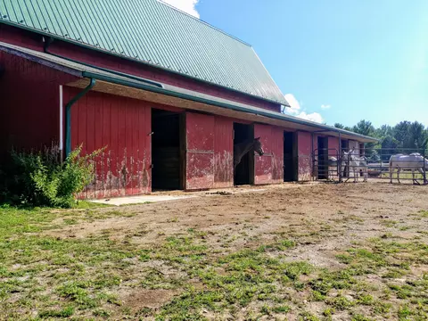 7815 W Beard Rd, Perry, MI 48872 photo 48