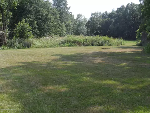 12121 Gruber Rd, Eagle, MI 48822 photo 3
