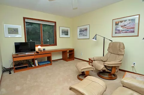 7196 White Pine Dr, Perry, MI 48872 photo 20