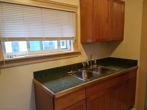 325 E Thomas St, Lansing, MI 48906 photo 8