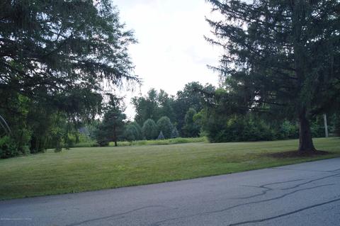 6481 Quail Ridge Ln, Dimondale, MI 48821 photo 3