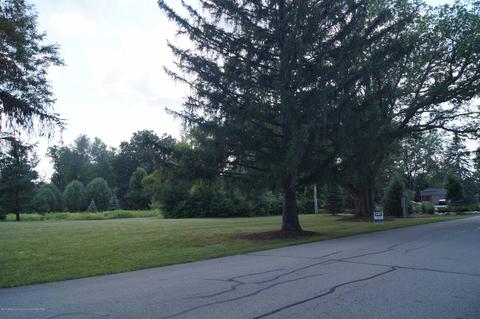 6481 Quail Ridge Ln, Dimondale, MI 48821 photo 2