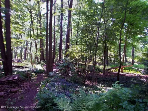 6089 Beechwood Dr, Haslett, MI 48840 photo 28