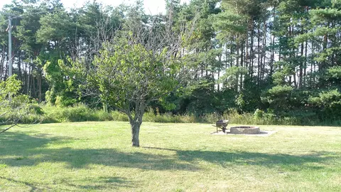 3312 Mcbride Rd, Owosso, MI 48867 photo 31