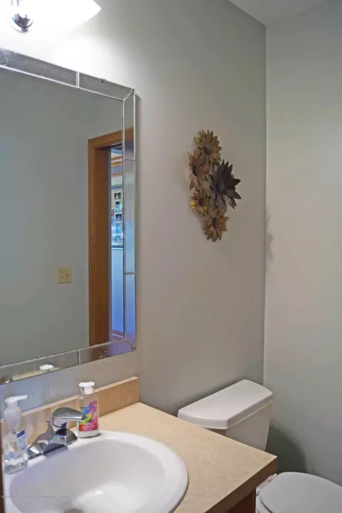3196 Kari Cir, Dewitt, MI 48820 photo 19