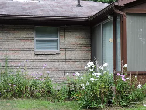 2813 College Rd, Holt, MI 48842 photo 42