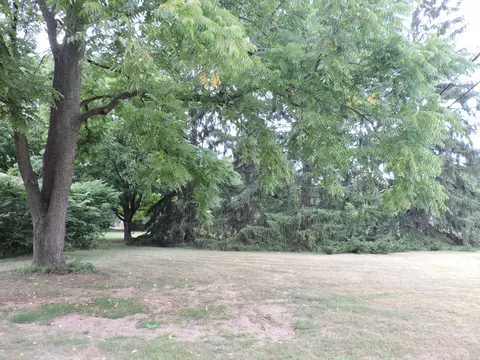 2813 College Rd, Holt, MI 48842 photo 37