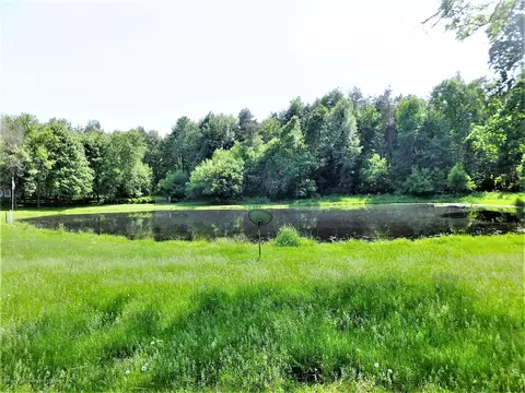 12376 Upton Rd, Bath, MI 48808 photo 4