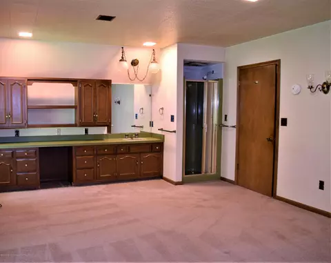 12376 Upton Rd, Bath, MI 48808 photo 20