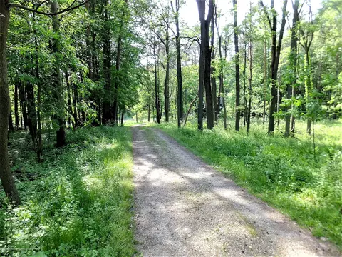 12376 Upton Rd, Bath, MI 48808 photo 3