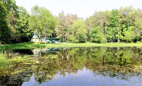 12376 Upton Rd, Bath, MI 48808 photo 5