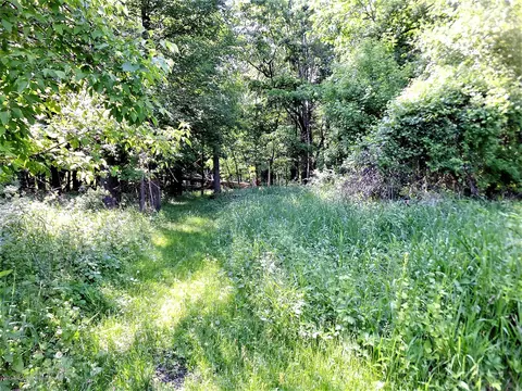 12376 Upton Rd, Bath, MI 48808 photo 34