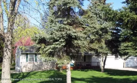 13874 Luroma Cir, Dewitt, MI 48820 photo 1