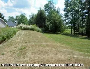 10326 S Wright Rd, Eagle, MI 48822 photo 57