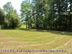 10326 S Wright Rd, Eagle, MI 48822 photo 55
