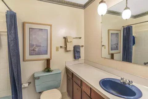 1170 Ro Dic Don Dr, Dewitt, MI 48820 photo 14