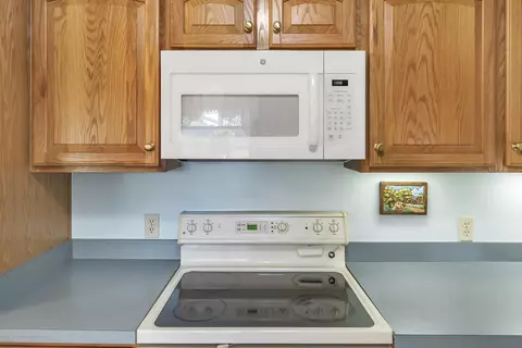 1170 Ro Dic Don Dr, Dewitt, MI 48820 photo 11