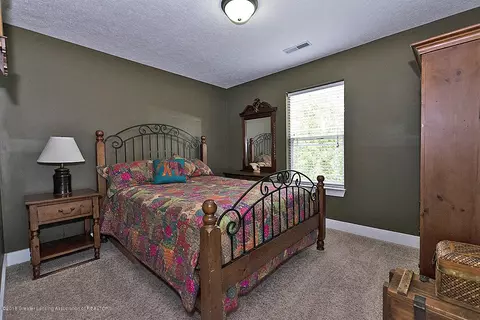 6770 Thunder Ln, Lansing, MI 48906 photo 18