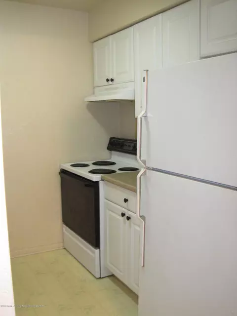 1727 Maple Rdg #53, Haslett, MI 48840 photo 6
